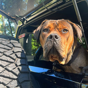 Meet your Posher, Eden